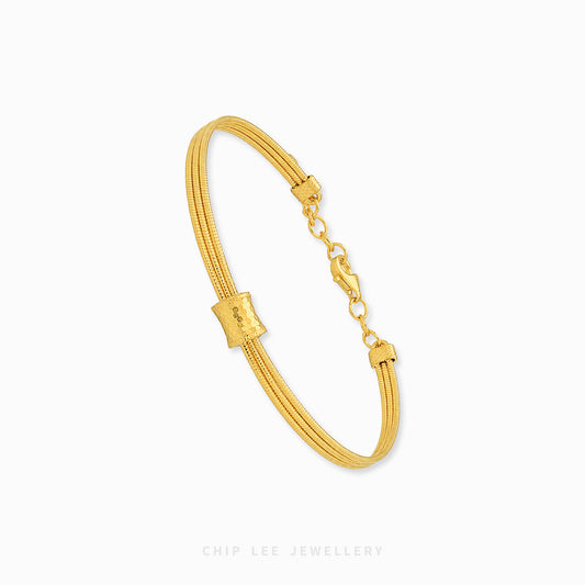 A gold-plated multi-strand snake chain bangle bracelet with a lobster clasp and a small rectangular charm, shown on a clean white background with the brand name 'CHIP LEE JEWELLERY' at the bottom.