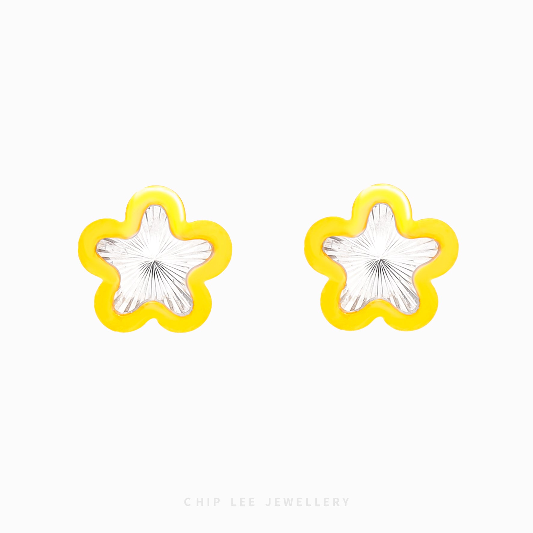 Duo Tone Star Stud Earrings - Chip Lee Jewellery