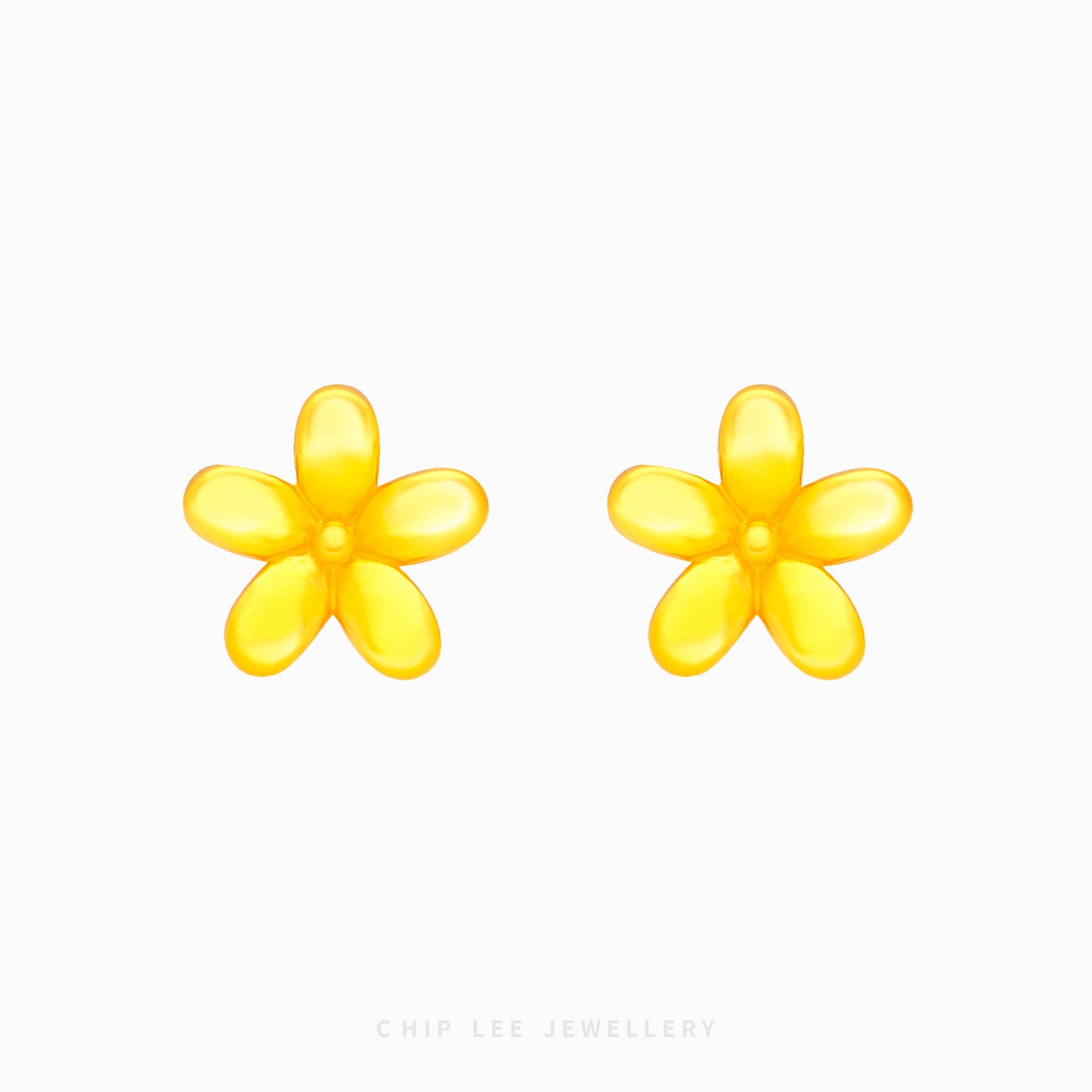 Daisy Stud Earrings - Chip Lee Jewellery